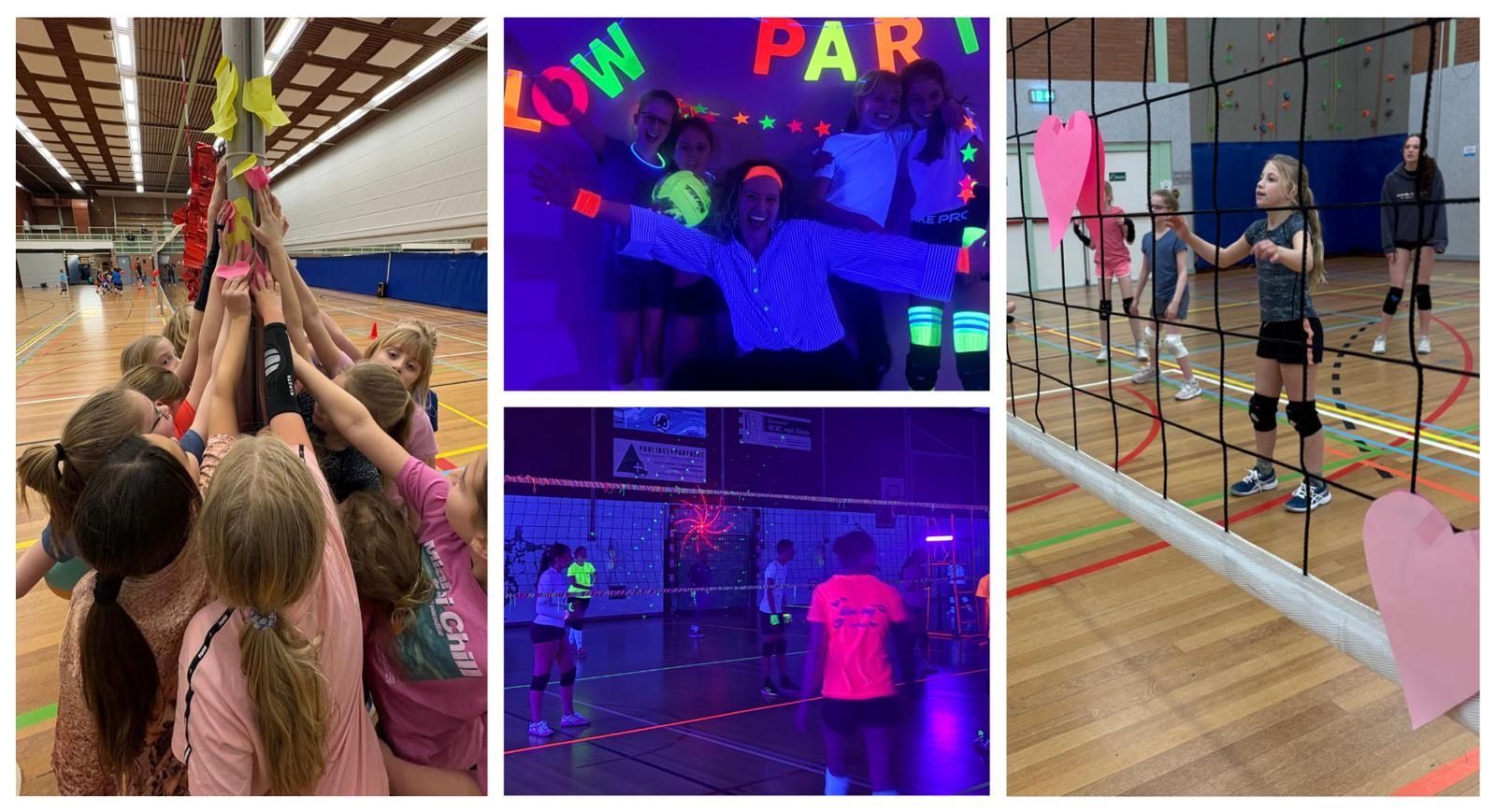 Header afbeelding voor Gemini-Kangeroes: meer dan volleybal alleen