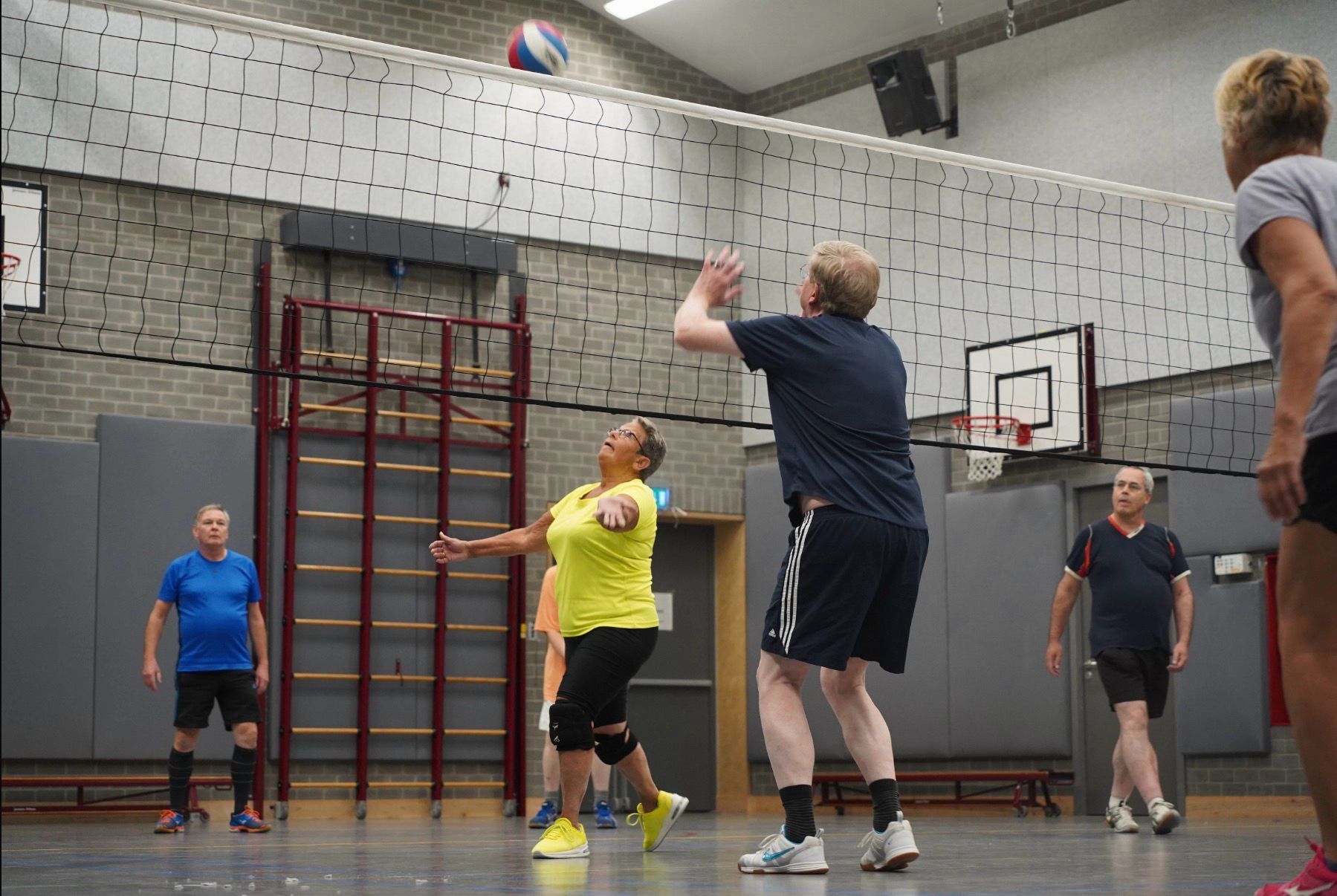 Header afbeelding voor Volleybalrecreanten Gemini Kangeroes zoeken nieuwe spelers